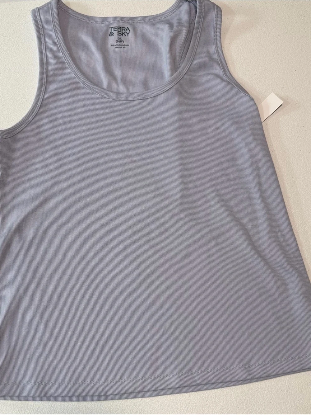 Terra & Sky Scoop Neck Ribbed Tank in Light Lavender-Blue - Picture 1 of 2